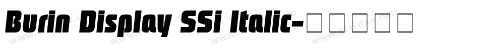 Burin Display SSi Italic字体转换